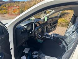 هەڤاڵ جۆلیۆن